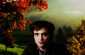 Robert Pattinson - twilight-series fan art