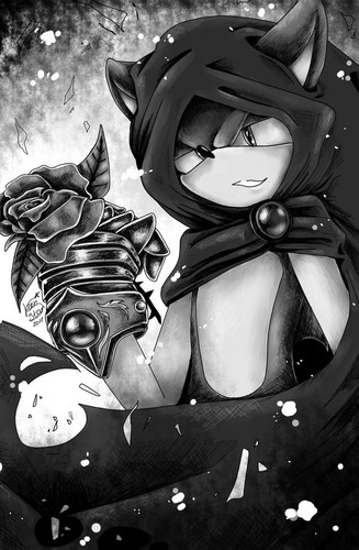 Sonic and the Black knight