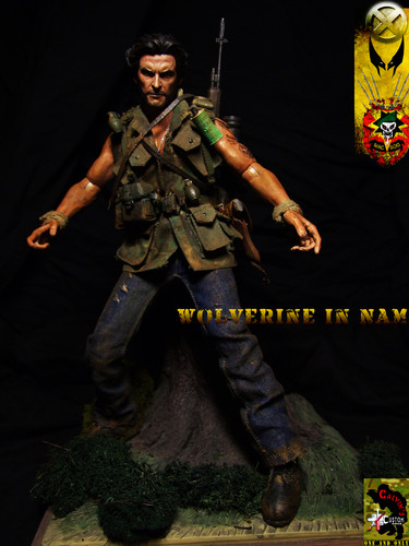  Wolverine in NAM