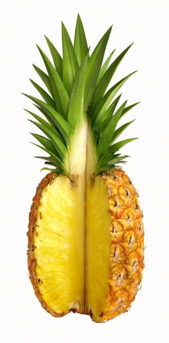  Yellow Pineapple