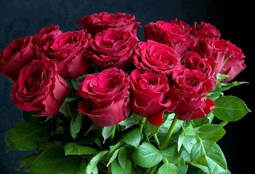 awesome red roses