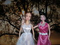 kristyn and alice - barbie photo