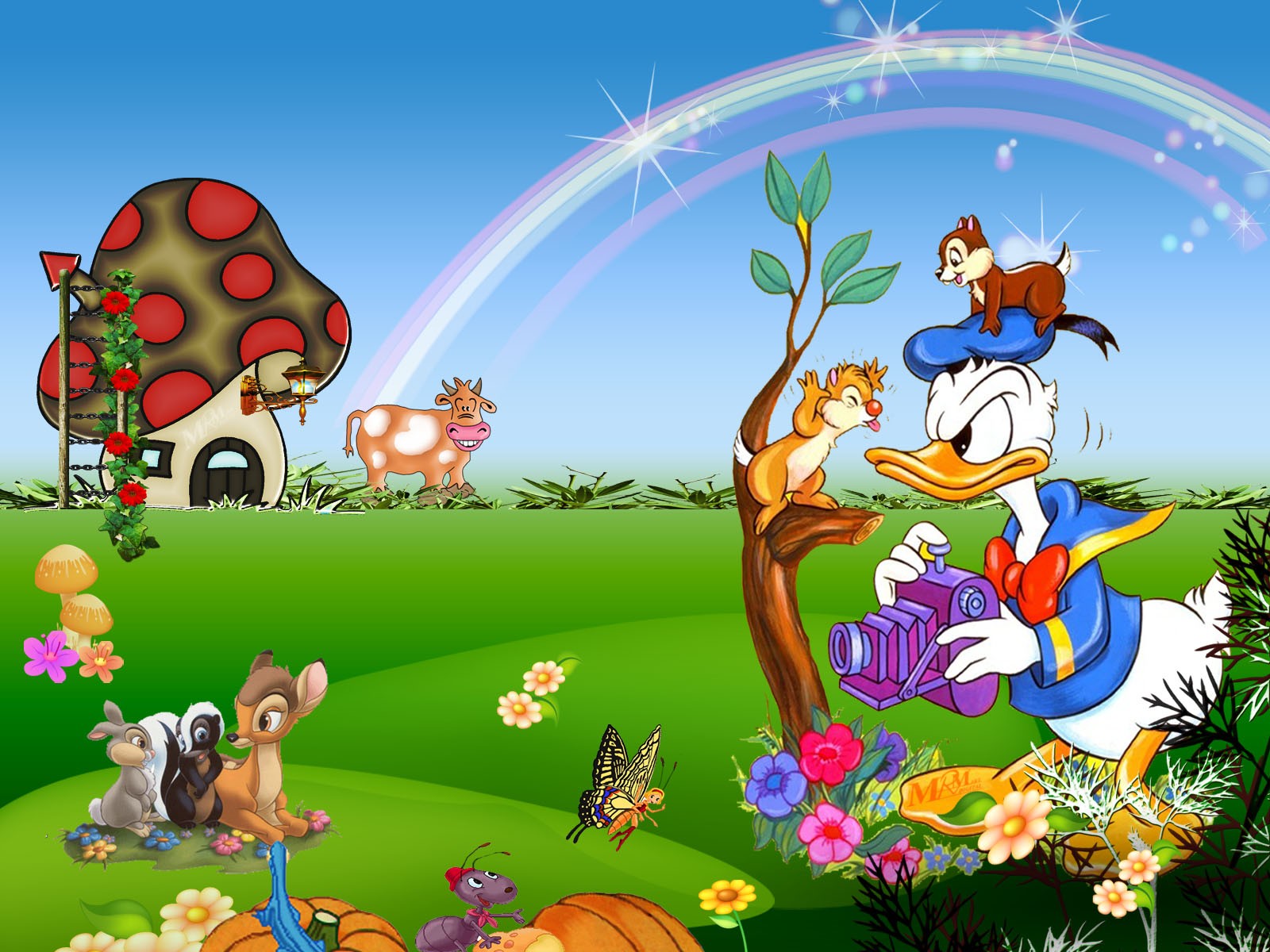Cartoon Network Vs CN Gambar Nature With Donald HD Wallpaper And
