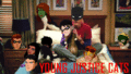yj cats - young-justice photo