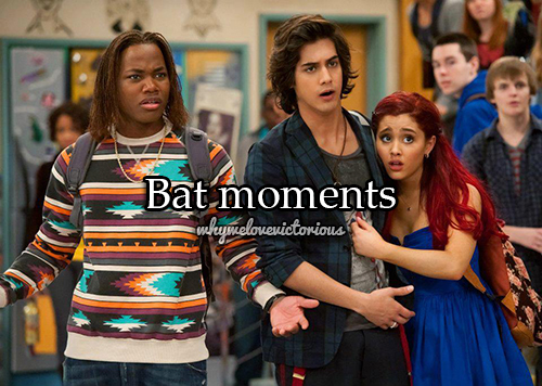  Bat Moments