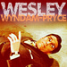 BtVS Wesley Wyndam-Pryce - buffy-the-vampire-slayer icon