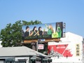 Candice's Midori campaign - Billboards. - candice-accola photo