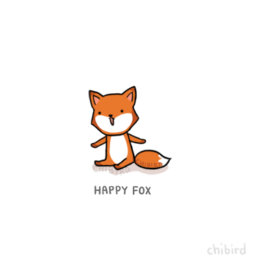  Happy zorro, fox