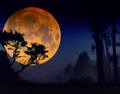 Moon wallpapers - beautiful-pictures photo