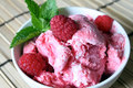 Raspberry Ice-Cream - ice-cream photo