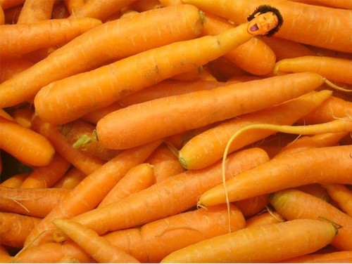 Rob is a carrot!