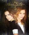 Rose & Lissa - the-vampire-academy-blood-sisters fan art