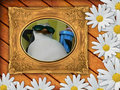 Skipper Chilling! - penguins-of-madagascar fan art