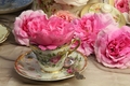 Teacup and Flowers - daydreaming photo