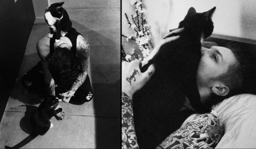  andy biersack and kitty