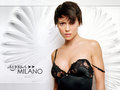 Alyssa Milano Wallpaper - alyssa-milano wallpaper