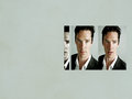 benedict-cumberbatch - Benedict ★ wallpaper
