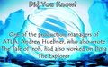Did You Know? - avatar-the-last-airbender photo