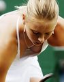 Maria-Sharapova-breast-tennis - tennis photo