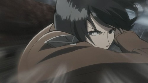  Mikasa