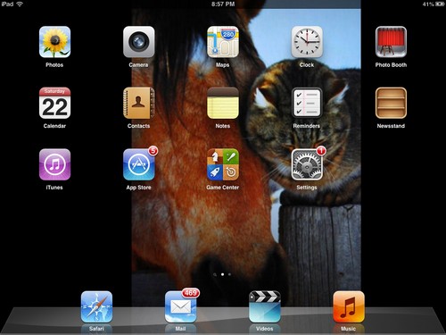 The screenshot of my iPad 