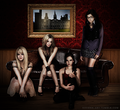Vampire Academy  - the-vampire-academy-blood-sisters fan art