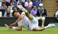 Wimbledon 2013 : injuries and falls... - tennis photo
