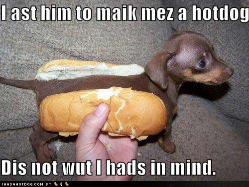  hotdog