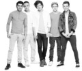 i LOVE you 1D  - one-direction photo