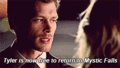 i intend to be your last, however long it takes - klaus-and-caroline photo
