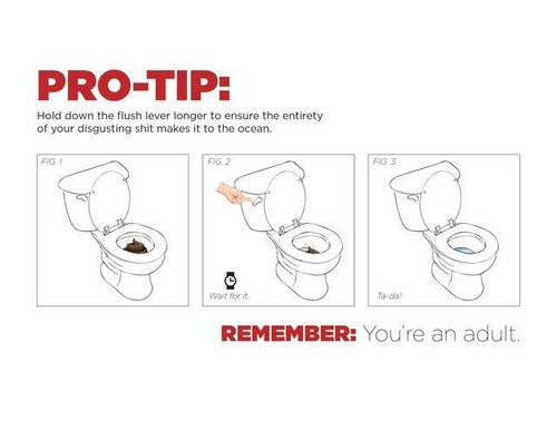  PRO-TIP: Toilet