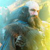  13 Companion of the Dwarves