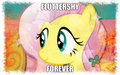 Fluttershyness - my-little-pony-friendship-is-magic fan art