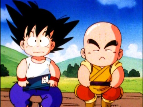  Goku & Krillin's friendship