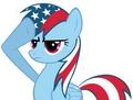 Happy 4th Of July! - my-little-pony-friendship-is-magic photo