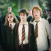 Harry, Ron and Hermione - harry-ron-and-hermione icon