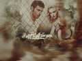 the-vampire-diaries - Klaus & Caroline wallpaper