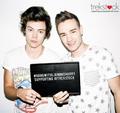 Liam and Harry - Trekstock - one-direction photo
