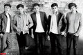Sexy One Direction - one-direction photo