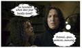 Snape has issues.... - snapes-family-and-friends photo