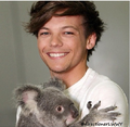 koala and louis - louis-tomlinson photo