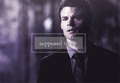➜The Departed 3.22 - the-vampire-diaries fan art