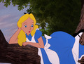 Beginning Scene of Alice in Wonderland - alice-in-wonderland photo