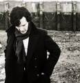 Benedict Cumberbatch - demolitionvenom photo