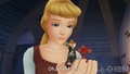 Cinderella In Kingdom Hearts: Birth By Sleep - disney-princess photo