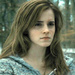 Hermione in the DH part 1 - hermione-granger icon