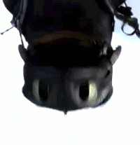  How To Train Your Dragon 2 Teaser Trailer