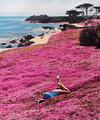 Neon HITCH tumblr- Pink Fields  - neon-hitch photo