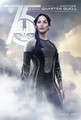 New "Catching Fire" tribute posters. - the-hunger-games photo