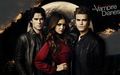 the-vampire-diaries - The Vampire Diaries wallpaper